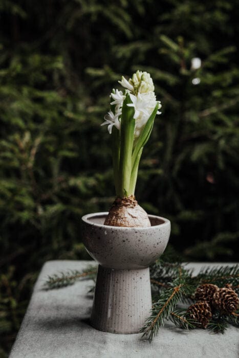 Storefactory Vase Leryd Vase naturgrå lav